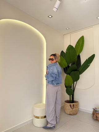 Pantalone DILETTA grigio